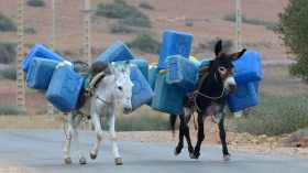 صورة مزيفة حول تهريب الوقود بين الجزائر وتونس تجوب الشبكات