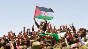 مجلس السلم العالمي يوافق بالإجماع على عضوية الصحراء الغربية