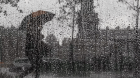BMS: Pluies sous forme d’averses orageuses sur plusieurs wilayas du pays