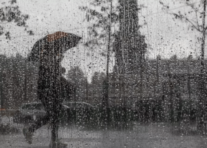 BMS: Pluies sous forme d’averses orageuses sur plusieurs wilayas du pays