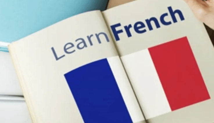 France: Une association en guerre contre l’Anglais utilisés par l’Etat