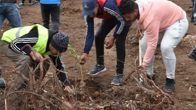 عبد الغني عميار: النزلاء سيشاركون في مشروع إطلاق وصيانة السد الأخضر