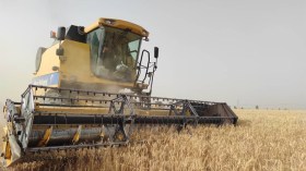 الجزائر.. سلة غذاء العرب المستقبلية