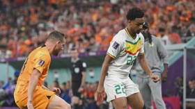 بطل إفريقيا ينهزم