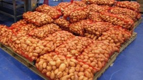 اتفاقيات مع ليبيا وموريتانيا لتسويق الإنتاج الفلاحي والصناعي