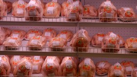 تاجر “يمسح السوق” ويخزن 130 طن من الدجاج لشهر رمضان