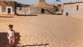 إطلاق المبادرة البرازيلية لمساعدة اللاجئين الصحراويين