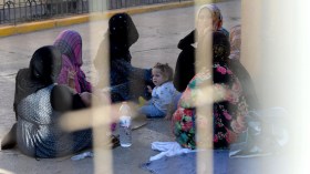 ذباب النظام المغربي رحل لاجئين سوريين من الجزائر ثم استقبلهم على الشبكات