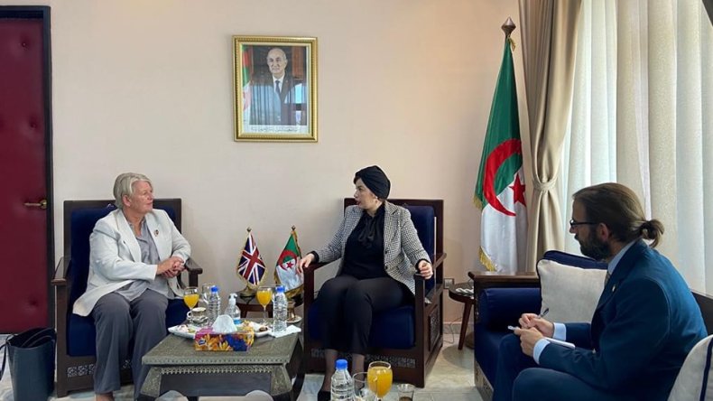 لجنة لإدراج الانجليزية في مناهج المؤسسات الثقافية