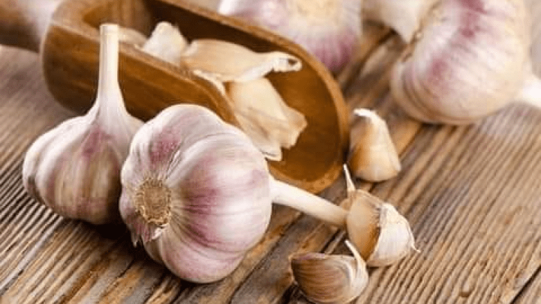 برغم رائحته الكريهة.. فوائد مذهلة للثوم تكشفها دراسة بريطانية