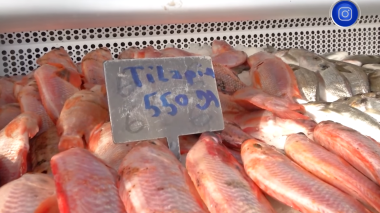 تسويق منتجات خاصة بتربية المائيات بنقطة بيع مباشرة