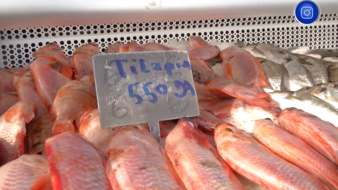 تسويق منتجات خاصة بتربية المائيات بنقطة بيع مباشرة