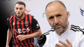 حلول كثيرة يقدمها أمين غويري لجمال بلماضي