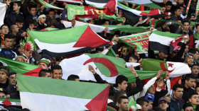 أسبقية جزائرية نوعية في مساندة فلسطين في المونديال