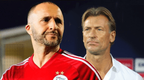 … رونار لن يخلف بلماضي