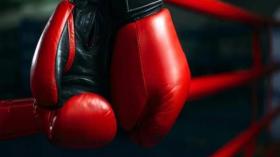 الاتحاد الدولي للملاكمة يرسل “لجنة تحكيم” إلى الجزائر