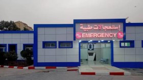 Vers une coopération algéro-saoudienne dans le domaine de la Santé