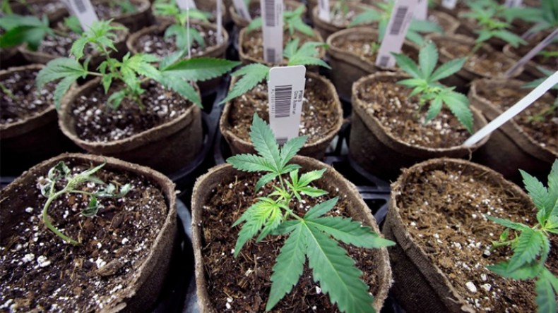 أخبار الجزائر ليوم الأحد 04 ديسمبر 2022