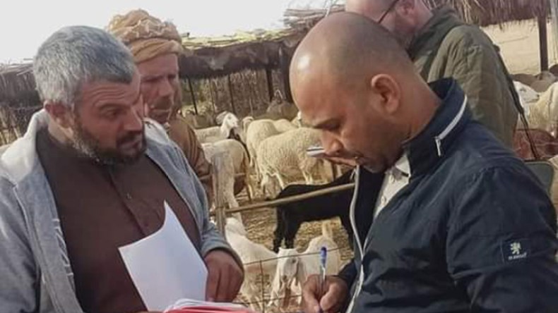 “الشروق” ترافق إحصاء سلالة كباش أولاد جلال العالمية
