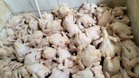 أخبار الجزائر ليوم الأحد 25 ديسمبر 2022