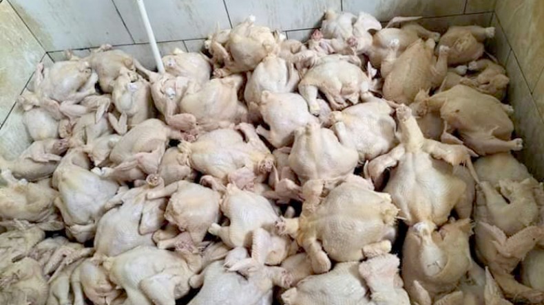 أخبار الجزائر ليوم الأحد 25 ديسمبر 2022