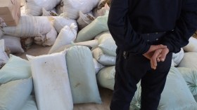 أخبار الجزائر ليوم الثلاثاء 13 ديسمبر 2022