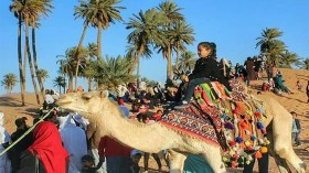 7 إجراءات لتسهيل تدفّق 100 ألف سائح جزائري نحو الجنوب