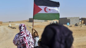 آخر مسمار في نعش العلويين