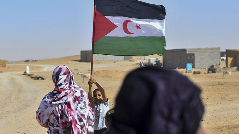 آخر مسمار في نعش العلويين