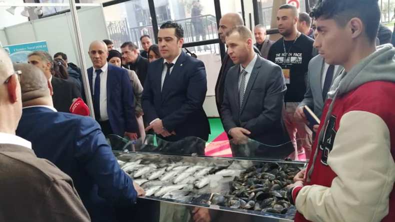 وزير الصيد يعلن عن آلية جديدة لضبط أسعار الأسماك