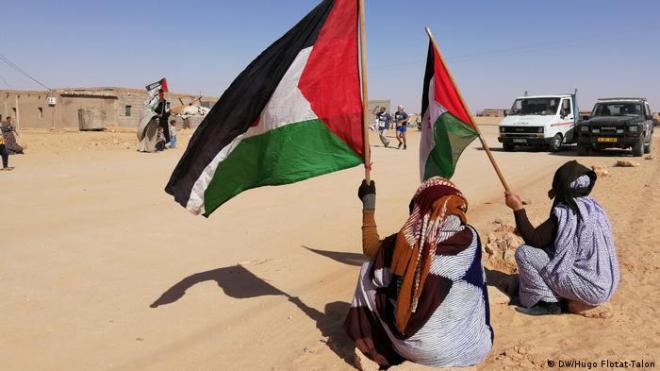 المزارعون الإسبان يرفضون دخول منتجات الصحراء الغربية