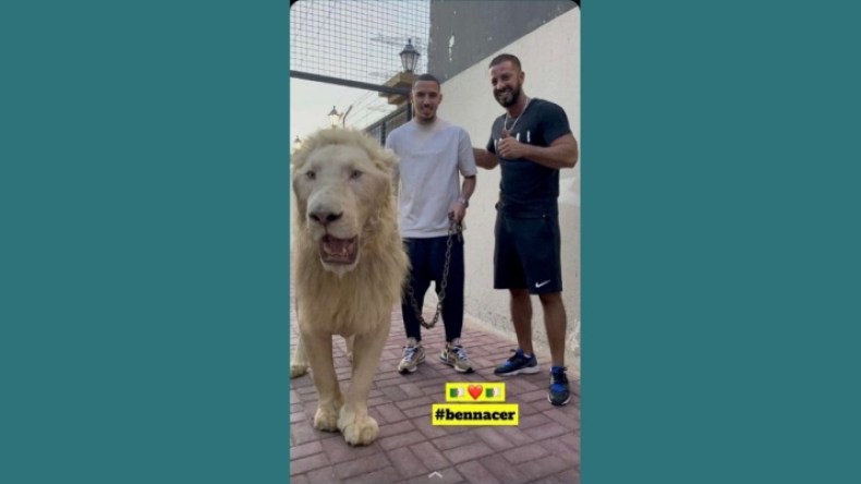 بِالفيديو: بن ناصر يُروّض “السَّبْعَ المُدْهِشَ”!