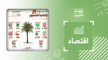 أكثر الدول إنتاجا للتمور.. الجزائر في المرتبة الرابعة عالميا