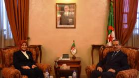 الزراعة في الجنوب وإنتاج القطن محور لقاء هني بالسفيرة التركية