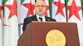 الوزير الأول: الجزائر مستعدة لوضع خبرتها تحت تصرف الدول الإفريقية