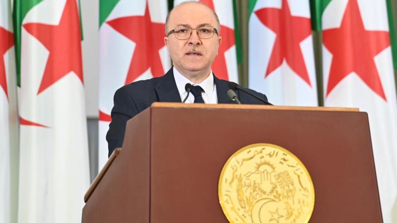 الوزير الأول: الجزائر مستعدة لوضع خبرتها تحت تصرف الدول الإفريقية