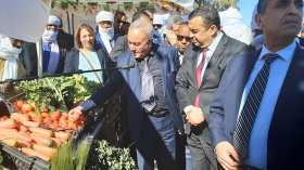 ربط 172 مستثمرة فلاحية بالكهرباء في تمنراست