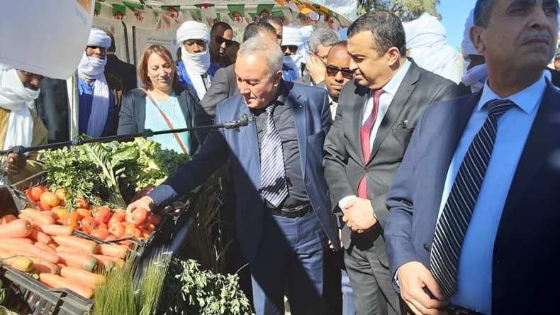 ربط 172 مستثمرة فلاحية بالكهرباء في تمنراست