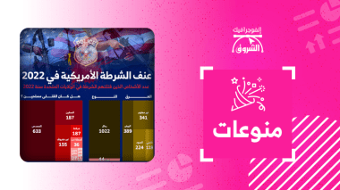 عنف الشرطة الأمريكية في 2022