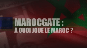 قناة “أرتي” تبث تقريرا حول “فضيحة” المغرب في البرلمان الأوروبي