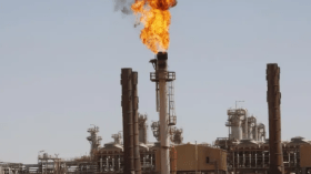 الأناضول: “سنة ذهبية” للغاز الجزائري في 2022