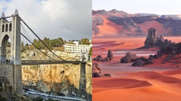 شكرا نيويورك