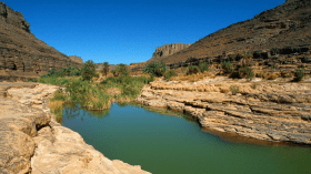 التأشيرة الجزائرية الجديدة.. استقبال أول فوج من السيّاح الأجانب في مطار جانت