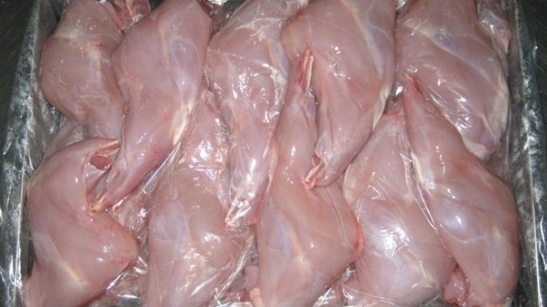 بعد بيع لحوم القطط على أساس أنها أرانب.. السلطات تحذر