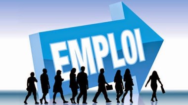 Rapport: voici les métiers les plus demandés en Algérie en 2022