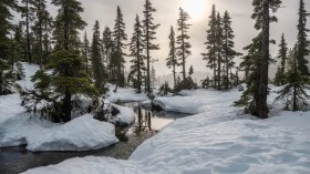Des chutes de neige sur plusieurs wilayas à partir de ce mercredi