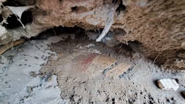 Une équipe d’experts dépêchée au site archéologique découvert à Khenchla