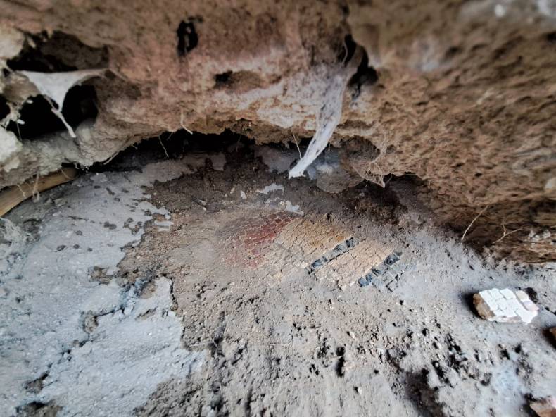 Une équipe d’experts dépêchée au site archéologique découvert à Khenchla