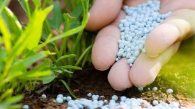 الجزائر رائدة الأسمدة بـ 6 ملايين طن سنوياً قريبا