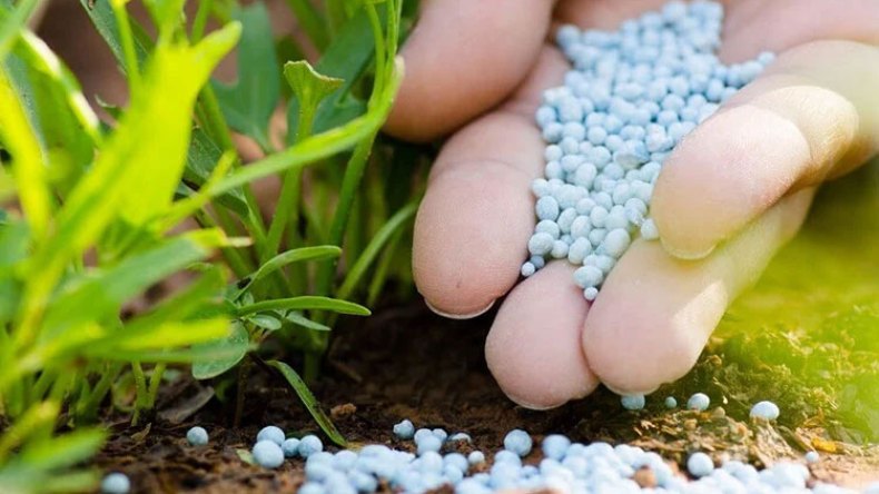 الجزائر رائدة الأسمدة بـ 6 ملايين طن سنوياً قريبا